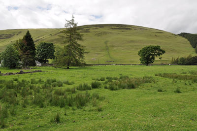 Scenic view of green landscape against sky