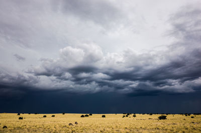 A storm approaches in a wide open landscape.