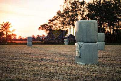 Hay bales in plastic in a field