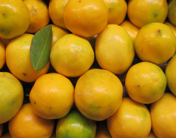 Full frame shot of lemons