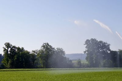 Scenic view of field against sky