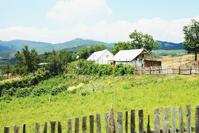 View of houses at farm