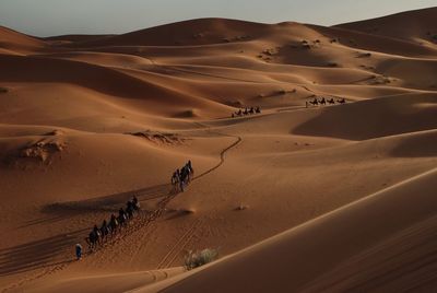 Scenic view of desert