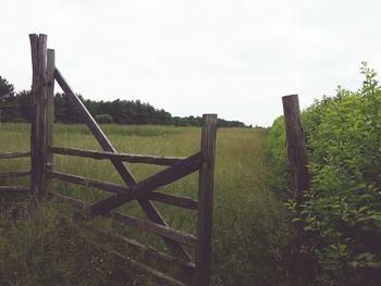 Fence on grassy field