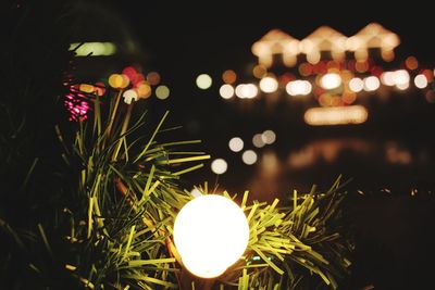 Close-up of illuminated christmas tree at night