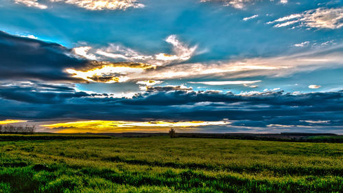 Scenic view of field against cloudy sky