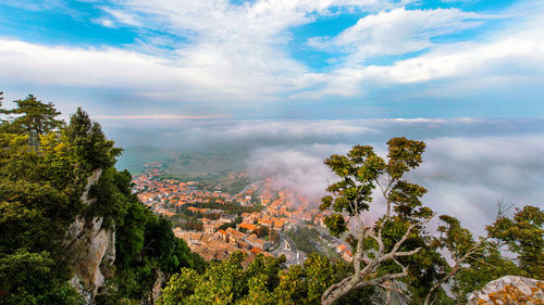 High angle view of tree and houses against cloudy sky