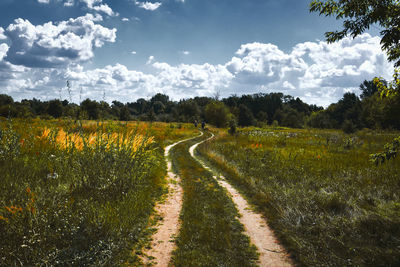 Scenic view of field against sky