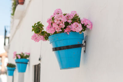 Close-up of flower pot on table against wall