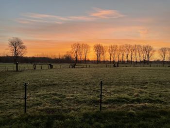 Scenic view of field against sky during sunset