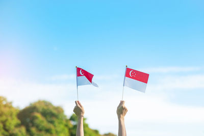 Low angle view of hand holding flag against sky