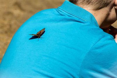 Close-up of insect on blue finger