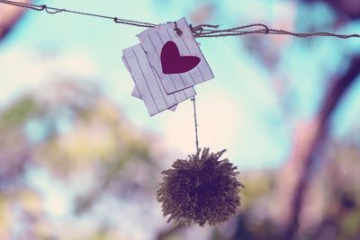 Low angle view of clothespins hanging on rope