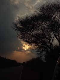 Silhouette trees against sky at sunset