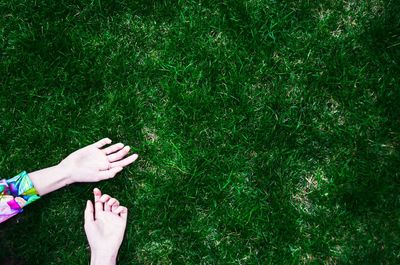 Low section of person standing on grass