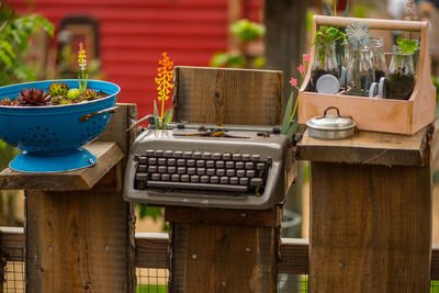 Potted plants on table in restaurant