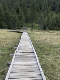 Wooden boardwalk amidst trees in forest