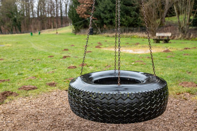 View of tire swing hanging from tree