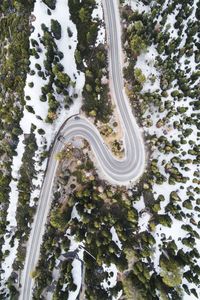 High angle view of snow covered trees