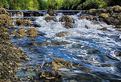Rocks in water
