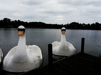 Swan swimming on lake against sky