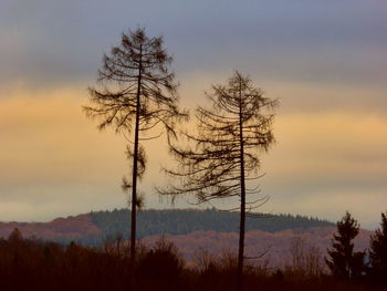 Silhouette bare trees on landscape against sky during sunset