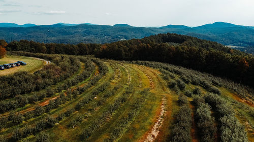 Scenic view of agricultural field against sky