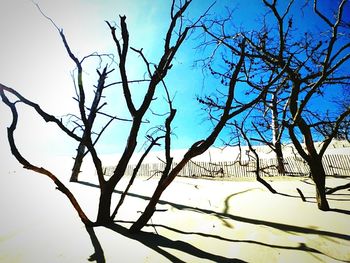 Low angle view of bare tree against sky