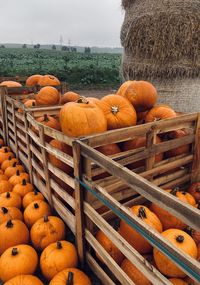 Stack of pumpkins on farm against sky during autumn