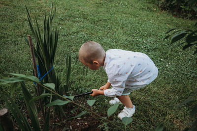 High angle view of boy and plants in grass