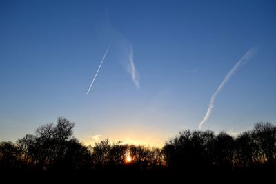 Low angle view of silhouette trees against sky during sunset