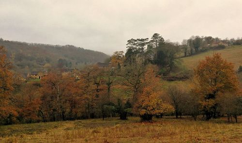 Trees on field against sky during autumn