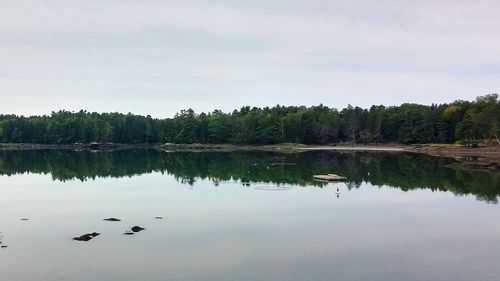 Scenic view of lake by trees against sky