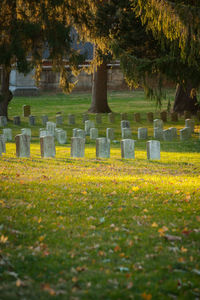 View of cross at cemetery