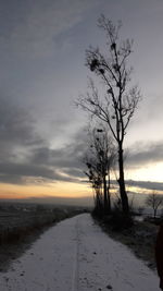 Bare trees on snow covered land against sky at sunset
