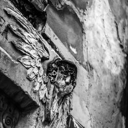 Low angle view of statue on wall