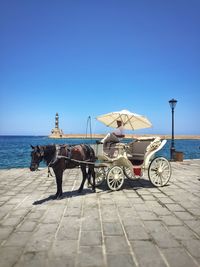 Man sitting on horse cart on footpath by sea against clear blue sky