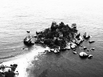 High angle view of tree by sea against sky