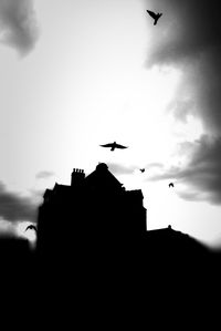 Low angle view of birds flying in sky