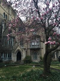 View of flowers against built structure