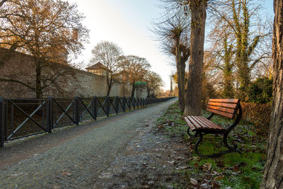 Empty park bench by trees against sky