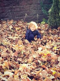 Portrait of boy with flowers on autumn leaves