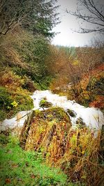 Stream flowing through rocks
