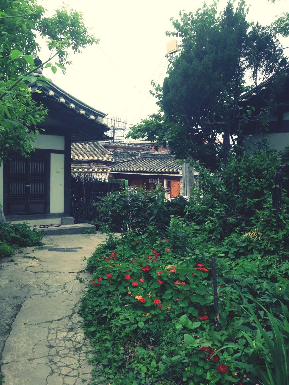 Seoul Guest House