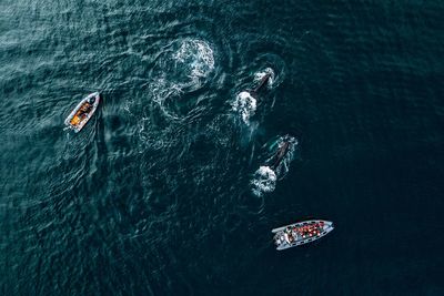 Aerial view of killer whale swimming by boats in sea