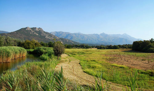 Umbrian landscape