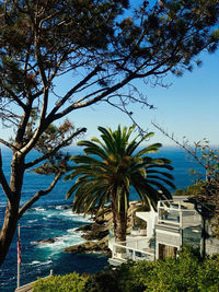 Palm trees by sea against sky