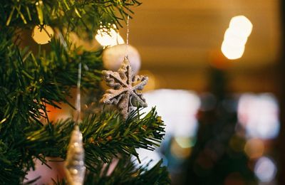 Close-up of christmas tree