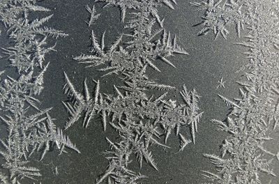 Full frame shot of snowflakes on glass window