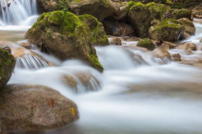 Scenic view of waterfall in forest